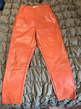 Lush Faux Leather Skirt in Warm Terracotta